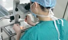 二代试管如何挑选优秀的精子(做二代试管医生会怎么挑选精子)