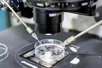 试管什么方案好，如何选择试管方案