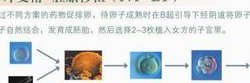 分享泰国做试管婴儿孩的经历附费用明细(费用怎么收取呢？
