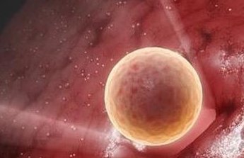 长沙2026年三代试管婴儿助孕费用一览，助您轻松了解生育成本！