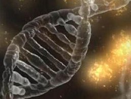 2026西安第三代试管婴儿大概价格是多少？